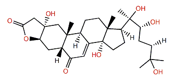 Ecdysonelactone C